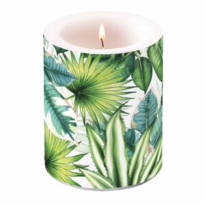 Ambiente Stompkaars Tropische Bladeren 75 Branduren 10x12 cm