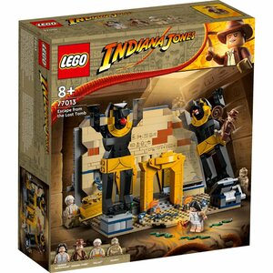 Lego Indiana Jones 77013 Ontsnapping uit de Verborgen Tombe