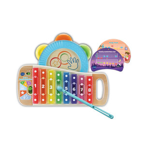 VTech Baby 2in1 Regenboogxylofoon + Licht en Geluid