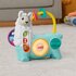 Fisher Price Linkimals 123 Activiteit Lama + Licht en Geluid_