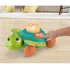 Fisher Price Linkimals Zit en Kruip Zeeschildpad + Licht en Geluid_