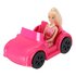 Fleur Pop met Auto Roze_