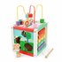 Fisher Price 5in1 Houten Activiteitenkubus_