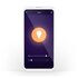 Nedis WIFILRW10E14 Smartlife Led Bulb Wi-fi E14 470 Lm 4.9 W Warm To Cool White Energieklasse: F Android™ / Ios Kaars_