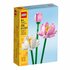 Lego Icons 40647 Botanical Flowers Lotus Flowers_