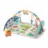 Fisher Price Activity City Gym + Geluid_