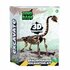 Dinobase Dino 3D Brachiosaurus Skelet_